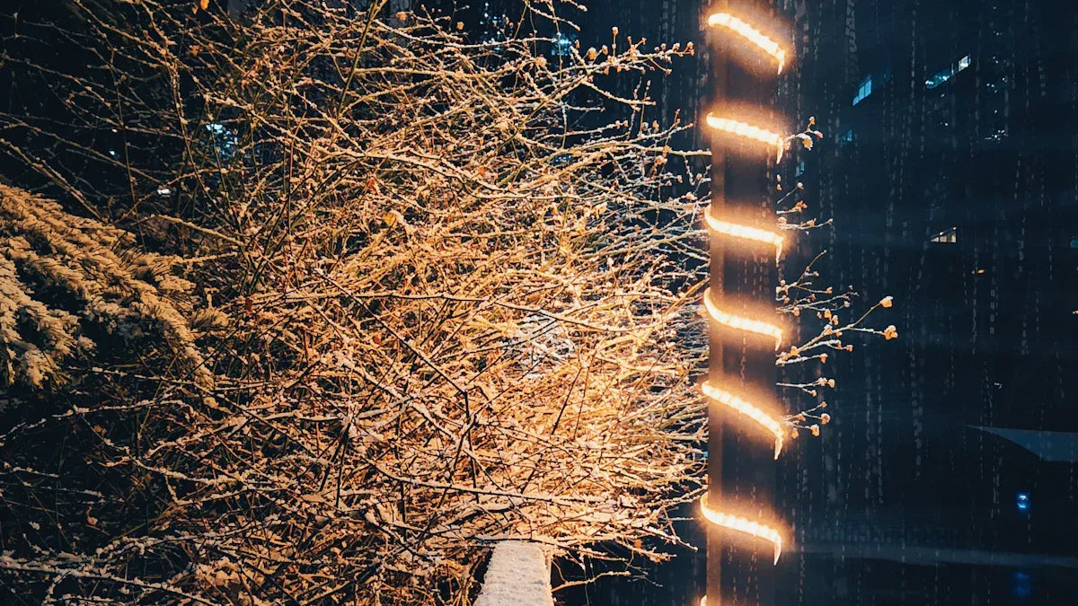 Image Source: unsplash