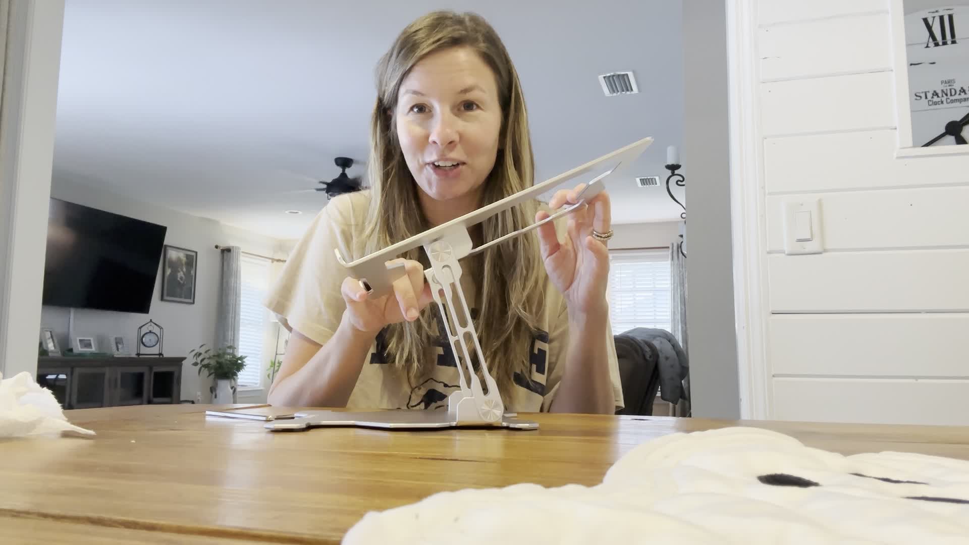 Rackora Ergo Laptop Stand Elite Edition - Premium Ergonomic Design (Universal Compatibility)