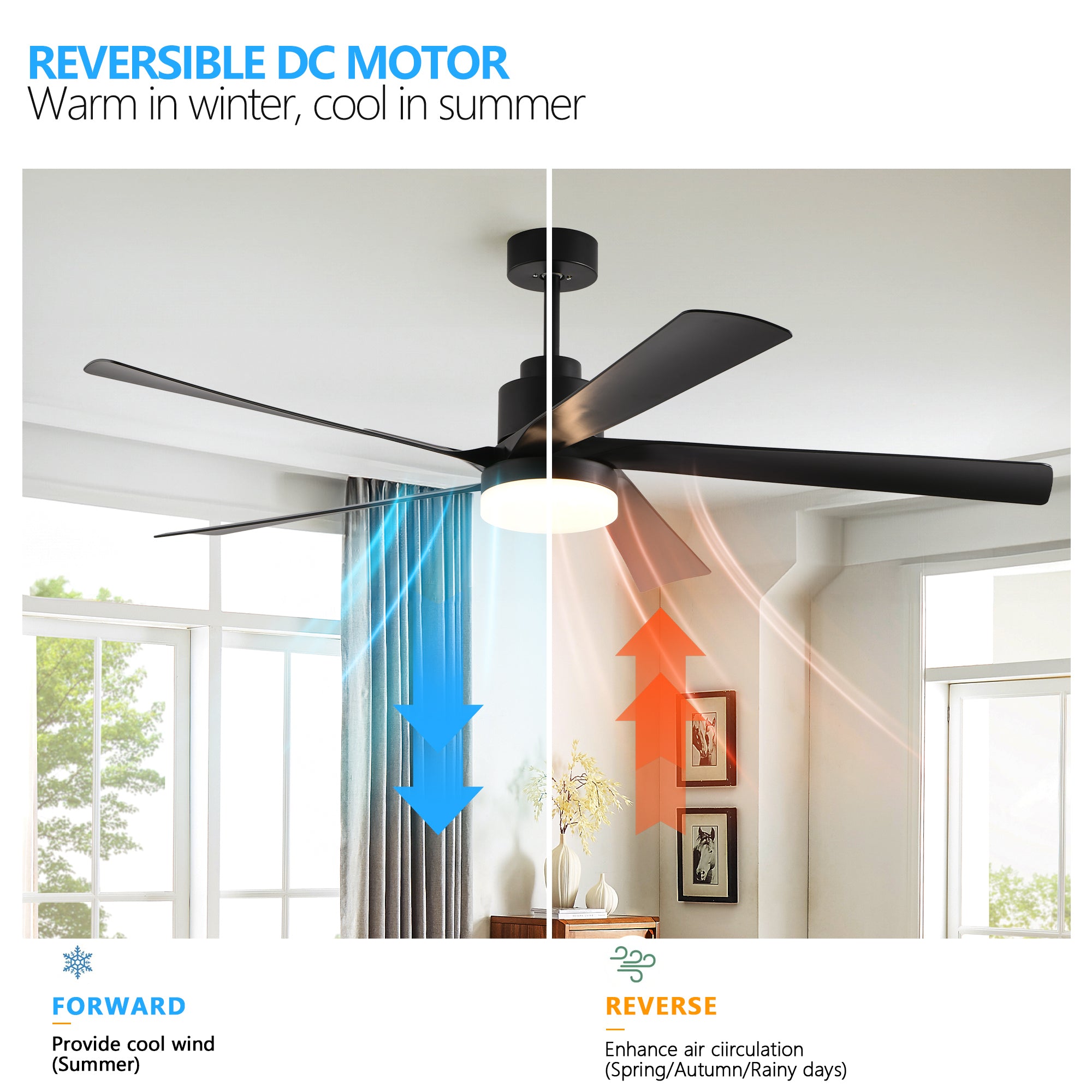 65 Inch Black Quiet Design Ceiling Fan with Light