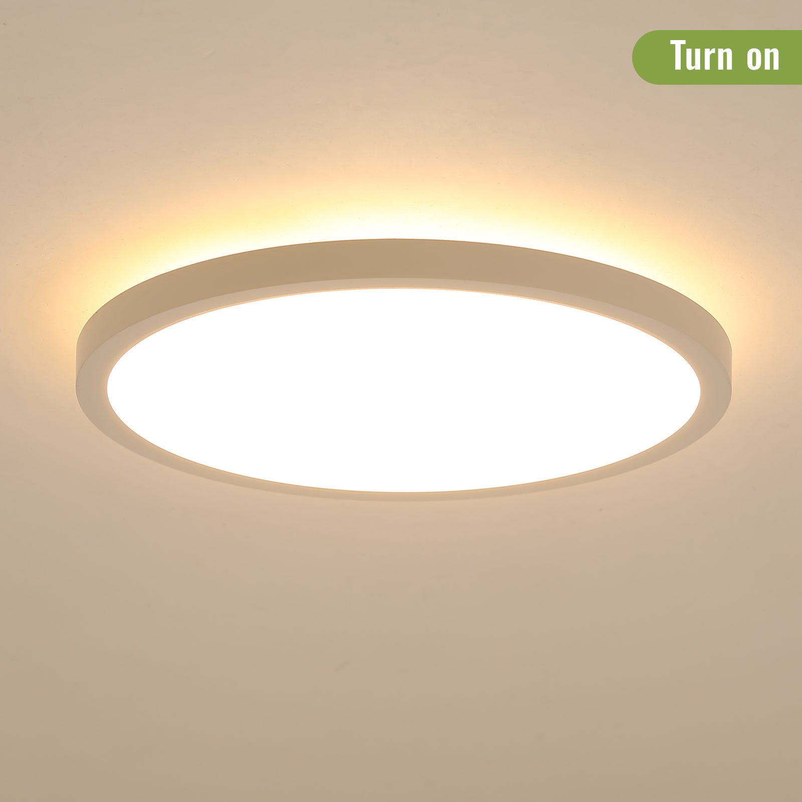 11.8 Inch 20W LED Flush Mount Ceiling Light