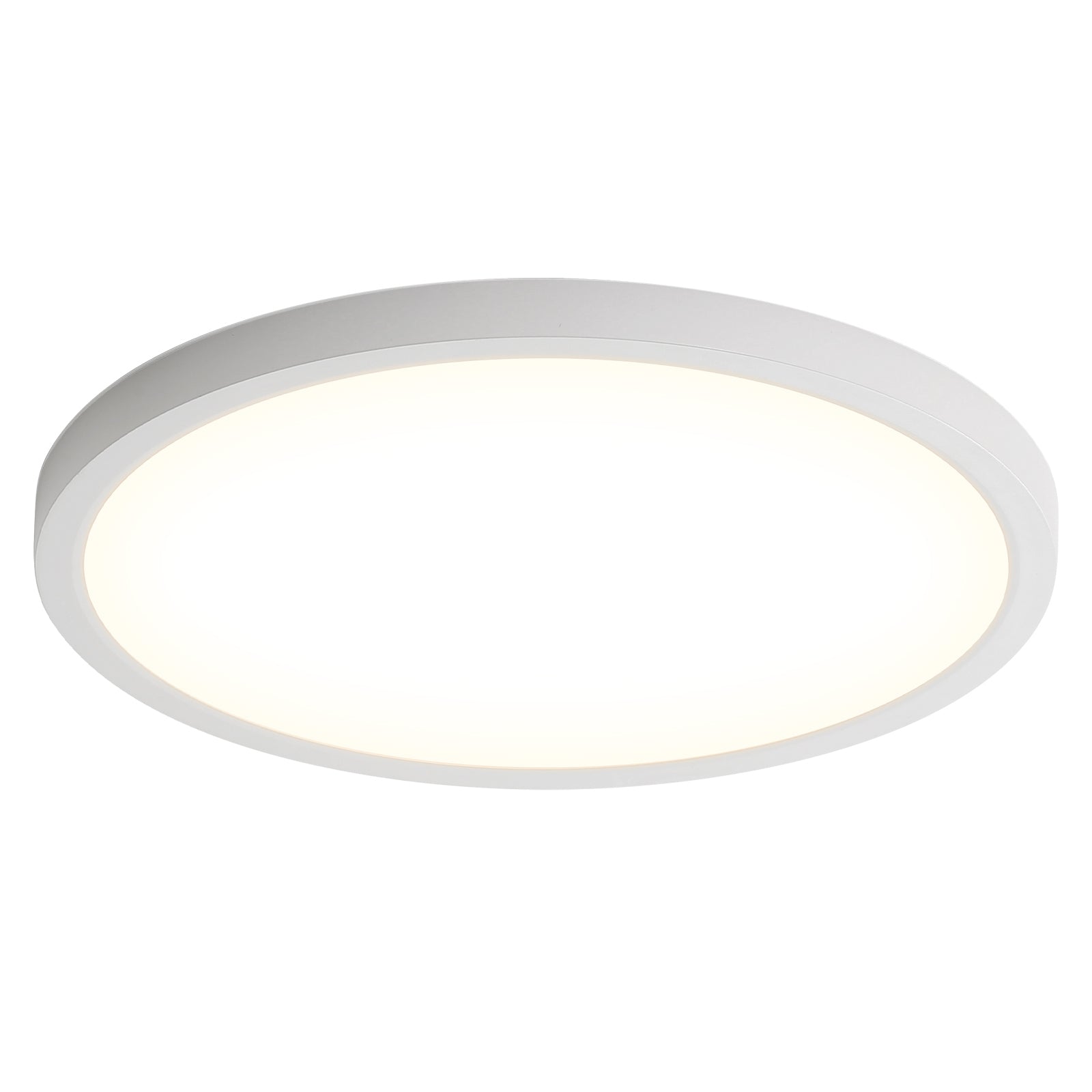 11.8 Inch 20W LED Flush Mount Ceiling Light