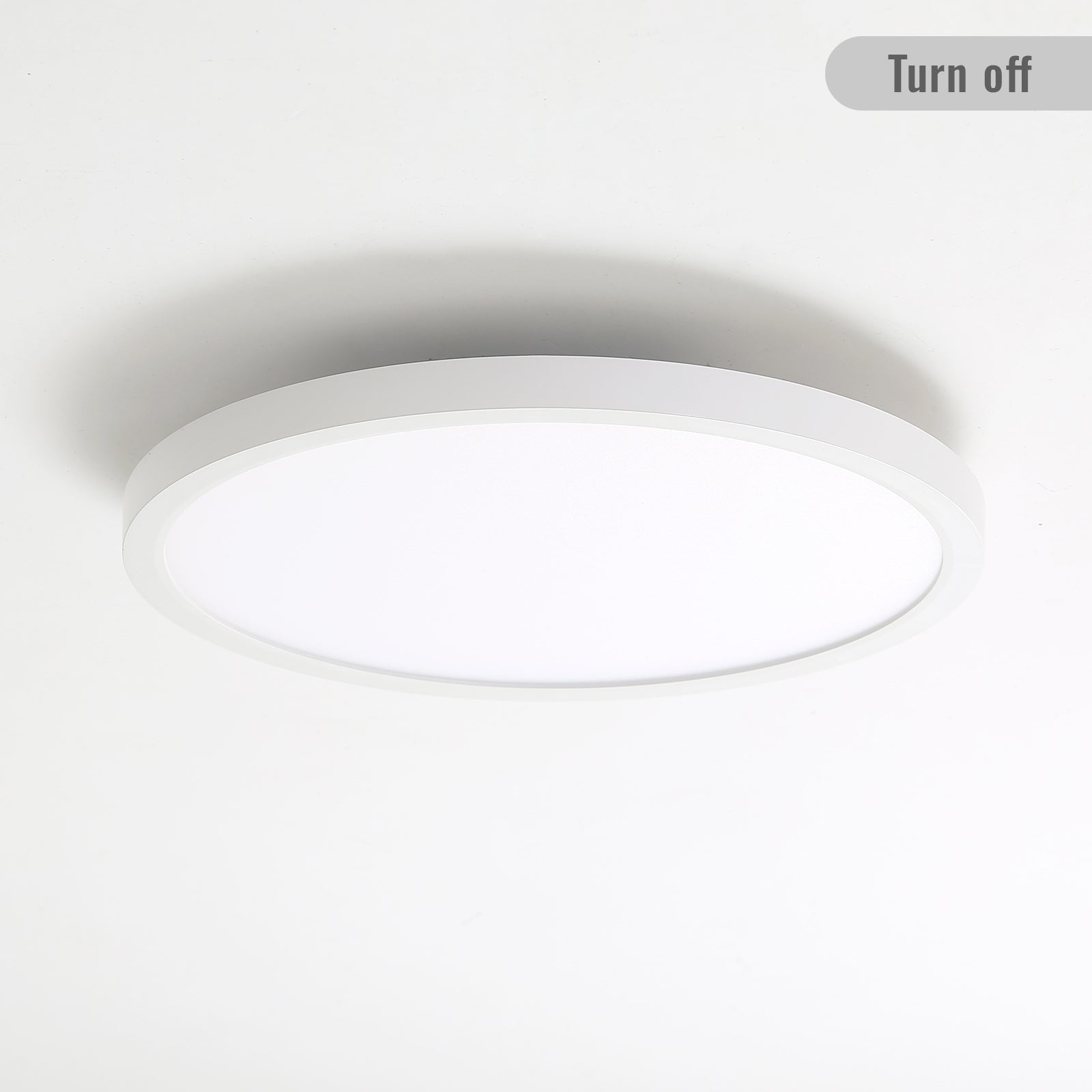 11.8 Inch 20W LED Flush Mount Ceiling Light