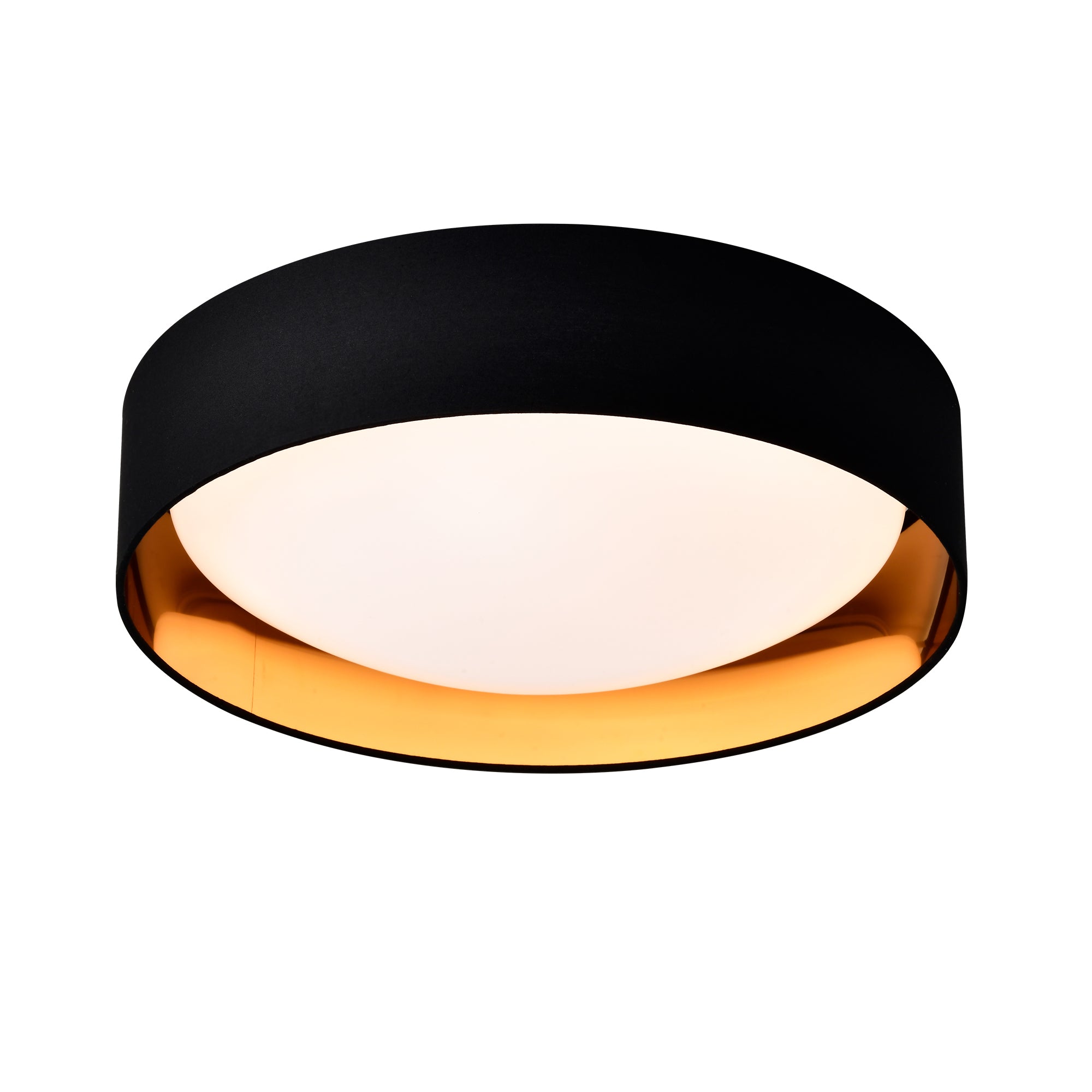 Acrylic 24W, 5 CCT Flush Mount Ceiling Light